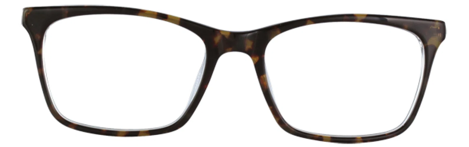Via Spiga VSFiona Eyeglasses - view 7